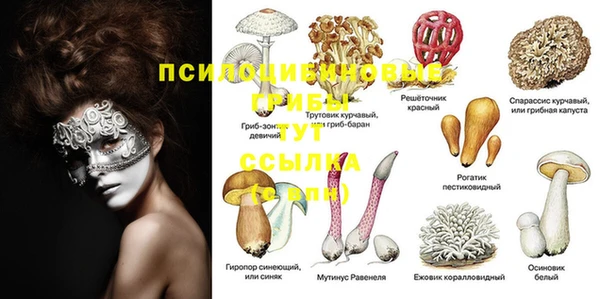 бошки Арсеньев