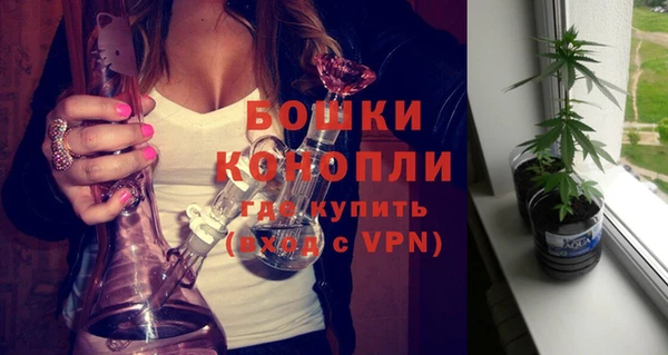 шишки Балабаново