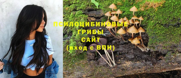 бутират Балахна